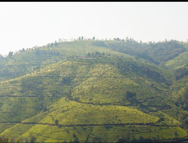 Vicky Wood House Villa Ooty Buitenkant foto